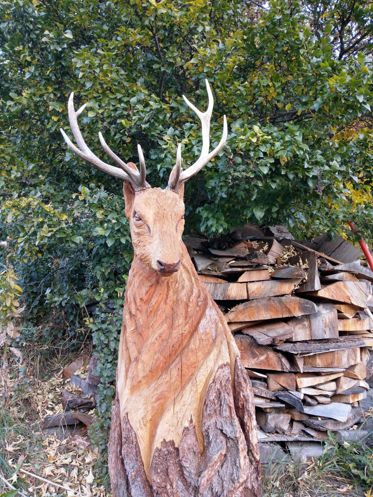 Cerf en mélèze avec vrais bois - 1'350.-Fr